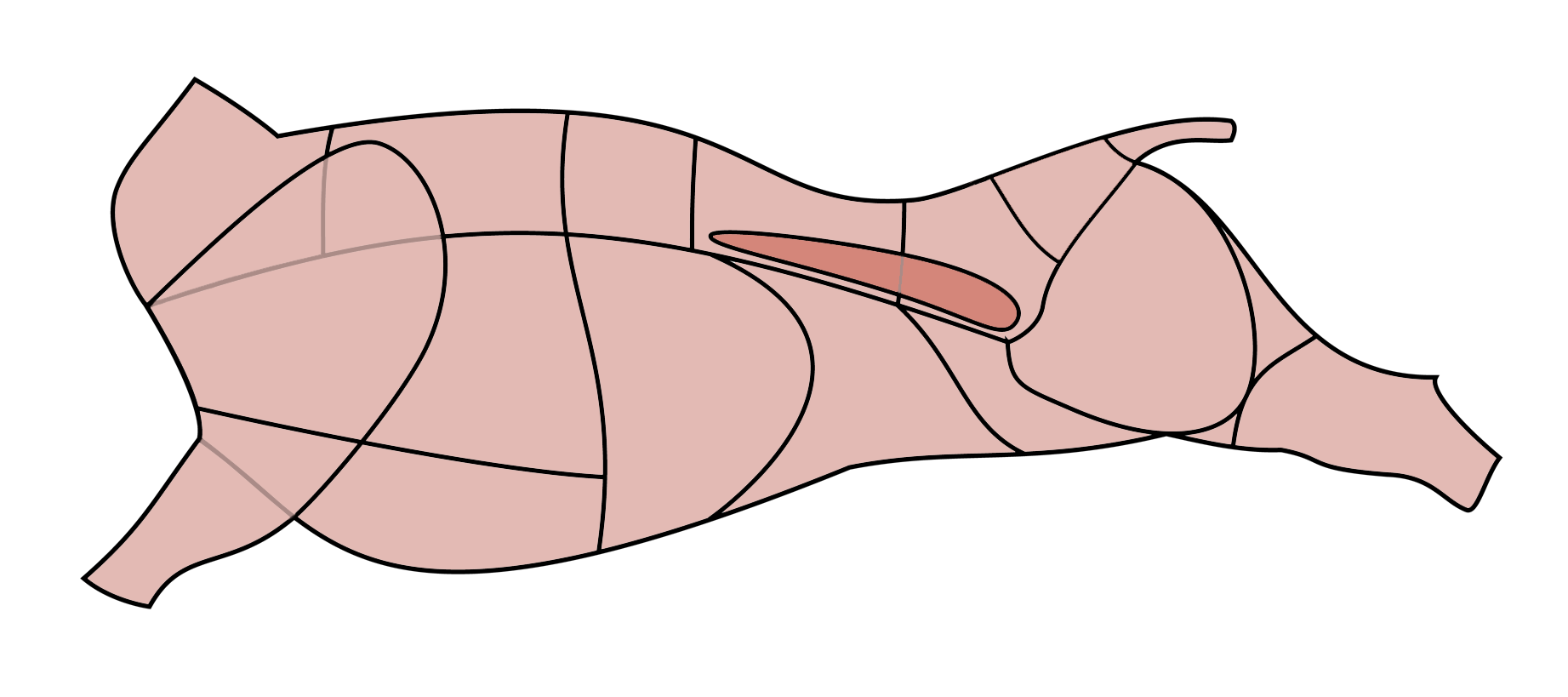 Nachgerechnet: Rindfleisch